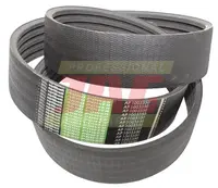  AP1003350 Pas Optibelt Agro Power 667453.01