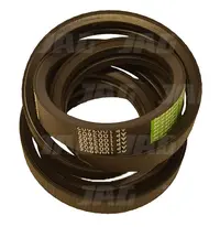  AP1003602 Pas Optibelt Agro Power 667252.01