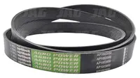  AP1003950 Pas wielorowkowy OPTIBELT AGRO POWER 142232.01