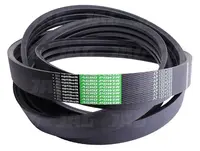  AP1004588 Pas Optibelt Agro Power HXE12425.01