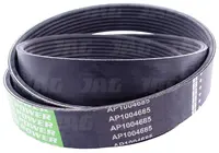  AP1004685 Pas wielorowkowy OPTIBELT AGRO POWER 1004685.01
