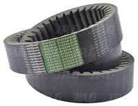  AP1005100 Pas Optibelt Agro Power 665834.01