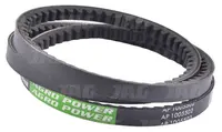  AP1005502 Pas Optibelt Agro Power 1005502.01