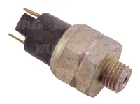  Czujnik ciśnienia powietrza 24V 1665353M91.01