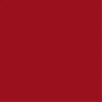  Farba Erbedol Case IH czerwona spray 300ml (SL3300) FARBA-CASE-IH-CZERWONA-SPRAY-300ML