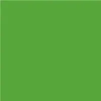 Farba Erbedol Deutz Fahr zielona spray 300ml od roku 1974 (SL6182) FARBA-DF-ZIELONA-SPRAY-300ML-OD1974