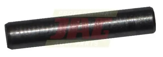 Igiełka łożyskowa R53218.01