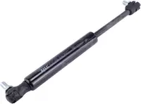  JAG99-1046/1 Siłownik gazowy JAG (ze sworzniami) 5089549.01