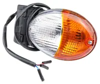  Lampa kierunkowskazu 87725693.01