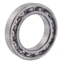  Łożysko FAG 236005.01