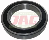  Łożysko JAG 6019 2RS.33