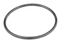 O-ring 212866.01