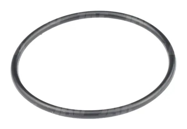 O-ring 212866.01