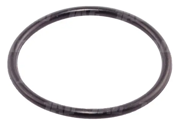 O Ring 366434X1.01