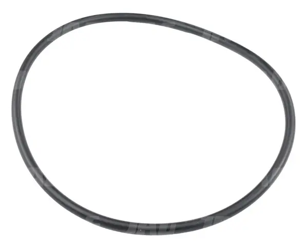 O-ring 6489-6.01