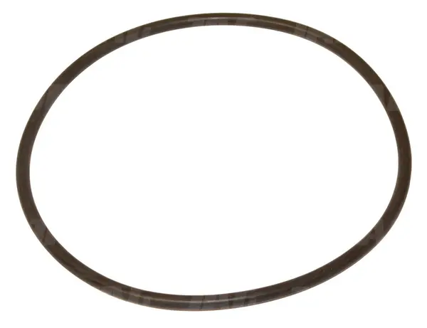 O-ring 6489-6