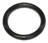  Oring 094031.01