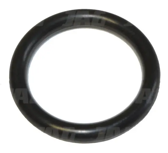 Oring 094031.01