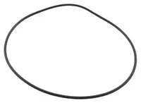  Oring 211099.02