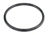  Oring 212574.01