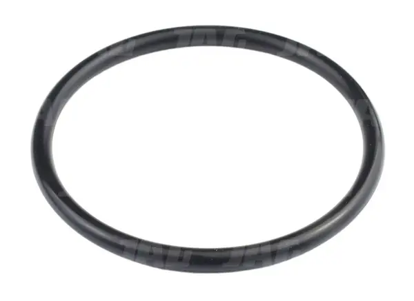 Oring 212574.01