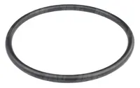  Oring 212639.01