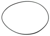  Oring 213405.01