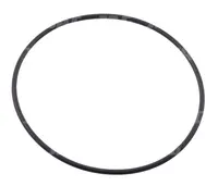  Oring 213863.02