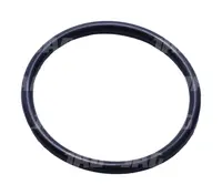  Oring JAG 712325.01