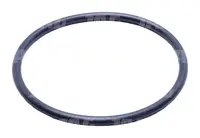  Oring JAG 751004.01