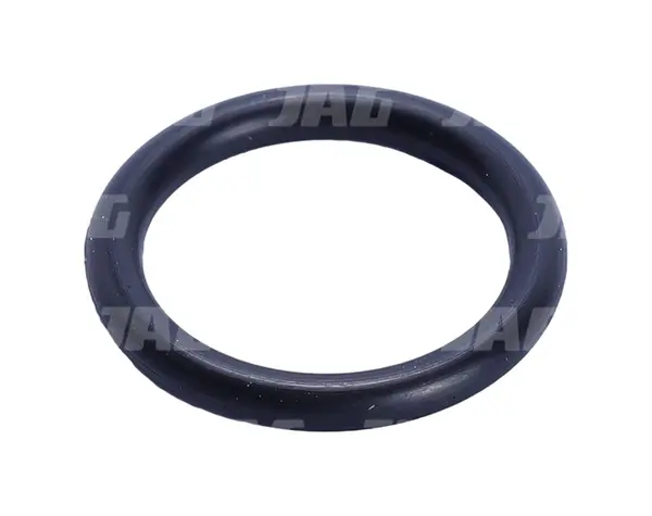 Oring JAG 766548.01