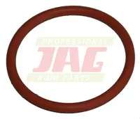  Oring ORG T19687 T19687