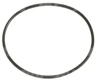  Oring Oryginał CLAAS 211989.1
