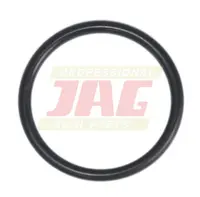  Oring Oryginał CLAAS 212430.01