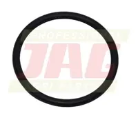  Oring Oryginał CLAAS 213386.01