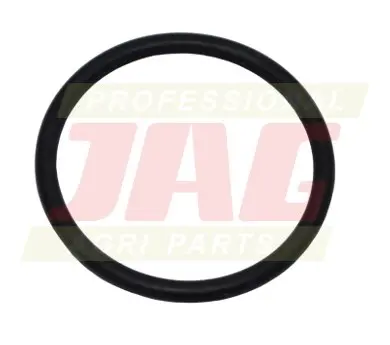 Oring Oryginał CLAAS 213386.01