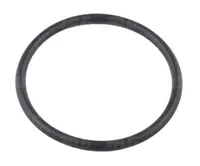  Oring Oryginał CLAAS 214384.0