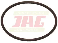  Oring Oryginał CLAAS 215260.01
