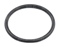  Oring Oryginał CLAAS 233879.0