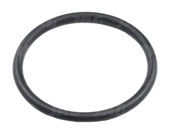 Oring Oryginał CLAAS 233879.0