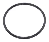  Oring Oryginał CLAAS 239467.01