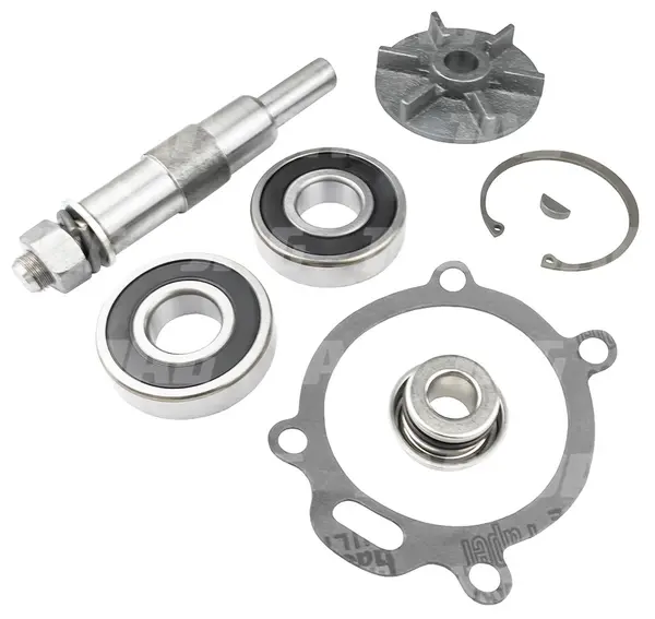P70030 Zestaw naprawczy pompy wody 131-31.01