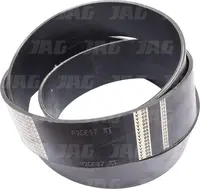  Pas Agrobelts 410617M1.01