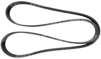 Pas wielorowkowy CONTINENTAL AGRIDUR 168.891.01