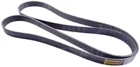  Pas wielorowkowy CONTINENTAL AGRIDUR 237.091.01