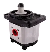  Pompa hydrauliczna 683699.01