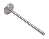  R502370 Zawór wydechowy 43-93