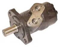  Silnik hydrauliczny 068906.01