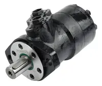  Silnik hydrauliczny 068906.04