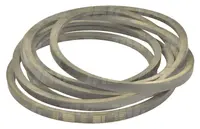 SPC08500 Pas klinowy Roulunds S22X8500LD-R